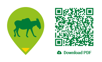 QR